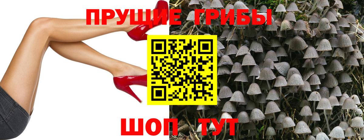 Галлюциногенные грибы Magic Shrooms Мыски