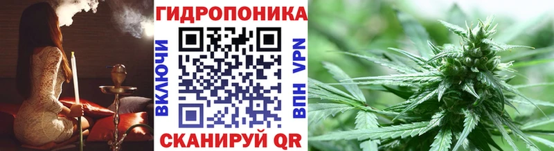 как найти закладки  Мыски  Бошки марихуана White Widow 