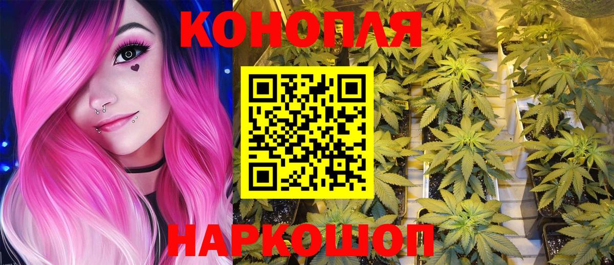 Марихуана сатива  Бошки Шишки MAZAR  Мыски  Вход с VPN 